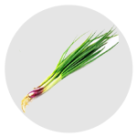 Scallions