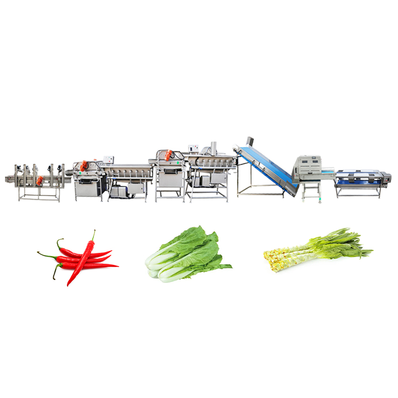 Lettuce Production Line