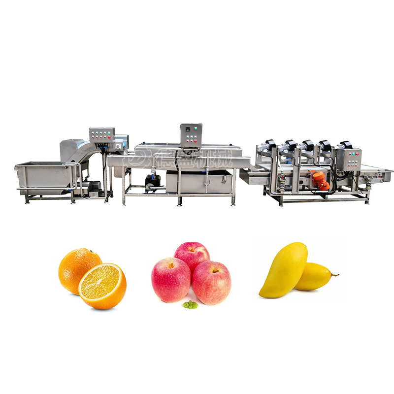Fruit Processing Line