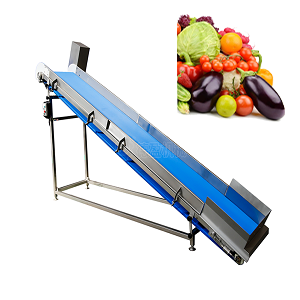 Vegetable Conveyor