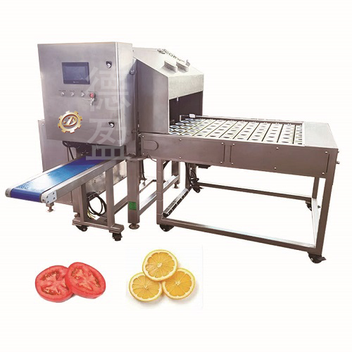Fruit Slicing Machine